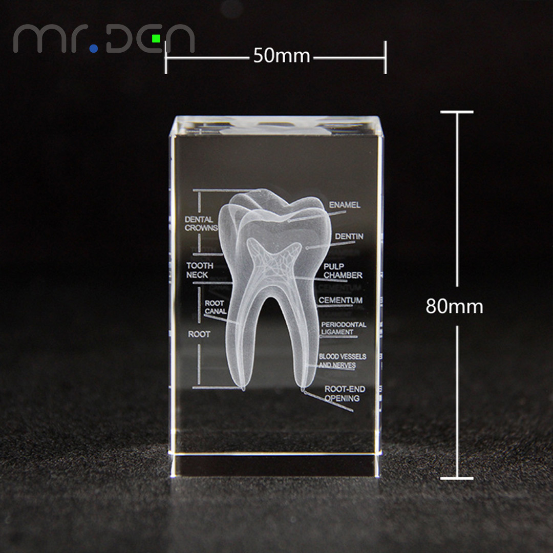 Стоматологические 3D лазерные  – обзор и цена Paper Weight Crystal