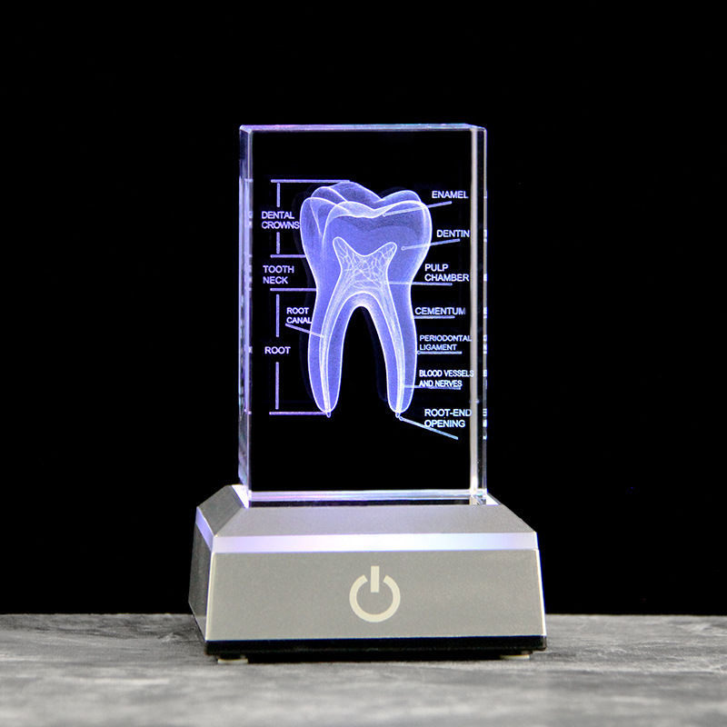 Стоматологические 3D лазерные  – обзор и цена Paper Weight Crystal